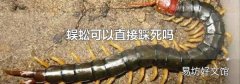 蜈蚣可以直接踩死嗎
