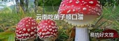 云南吃菌子順口溜
