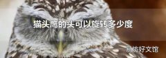 貓頭鷹的頭可以旋轉多少度