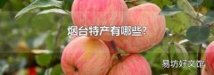 煙臺特產有哪些?