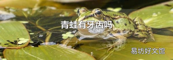 青蛙有牙齒嗎