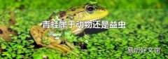 青蛙屬于動物還是益蟲