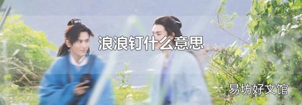 浪浪釘什么意思