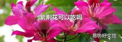 紫荊花可以吃嗎
