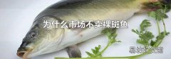 為什么市場不賣裸斑魚