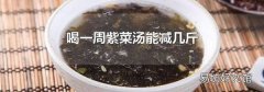 喝一周紫菜湯能減幾斤