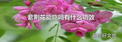 紫荊花能吃嗎有什么功效