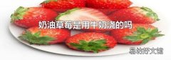 奶油草莓是用牛奶浇的吗