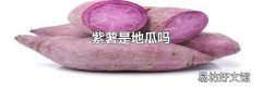 紫薯是地瓜吗