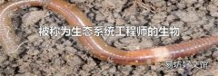 被称为生态系统工程师的生物
