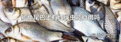 鯽魚尾巴上有紅線蟲能食用嗎