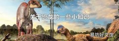 關于恐龍的一些小知識