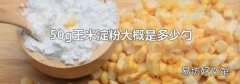 50g玉米淀粉大概是多少勺