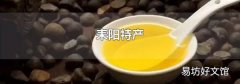 耒阳特产