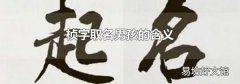 桢字取名男孩的含义