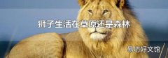 獅子生活在草原還是森林