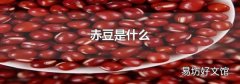 赤豆是什么