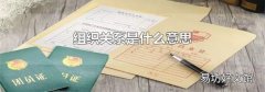 组织关系是什么意思