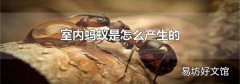 室内蚂蚁是怎么产生的