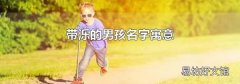 带泺的男孩名字寓意