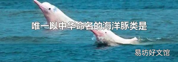 唯一以中华命名的海洋豚类是