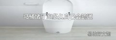 馬桶堵了泡多久自己會疏通