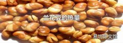 蘭花豆的熱量