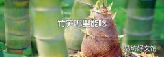 竹筍哪里能吃