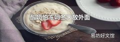 酸奶怕凍嗎冬天放外面