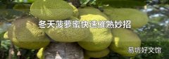 冬天菠蘿蜜快速催熟妙招