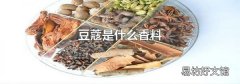 豆蔻是什么香料
