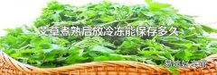 艾草煮熟后放冷凍能保存多久