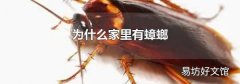 为什么家里有蟑螂