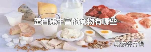 蛋白質豐富的食物有哪些