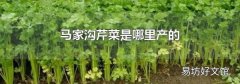 馬家溝芹菜是哪里產的