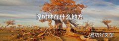 怪樹林在什么地方