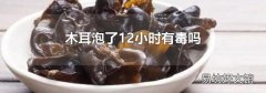 木耳泡了12小時有毒嗎