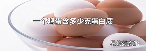 一個雞蛋含多少克蛋白質