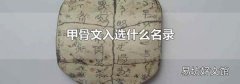 甲骨文入選什么名錄