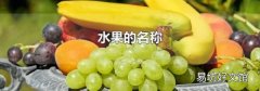 水果的名稱