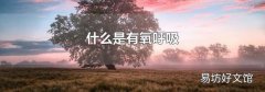 什么是有氧呼吸