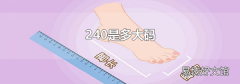 240是多大碼