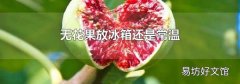 無花果放冰箱還是常溫