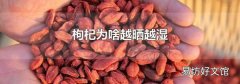 枸杞為啥越曬越濕