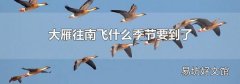 大雁往南飛什么季節要到了