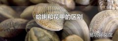 蛤蜊和花甲的區別