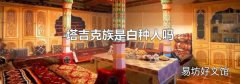 塔吉克族是白種人嗎