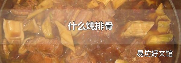 什么燉排骨