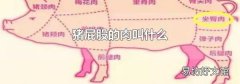 豬屁股的肉叫什么
