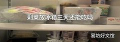 剩菜放冰箱三天還能吃嗎